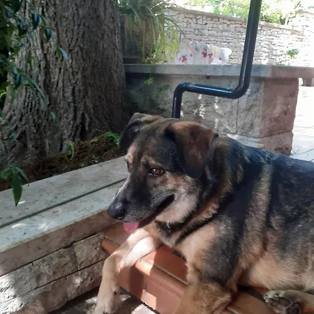 Апартаменты Mariza *