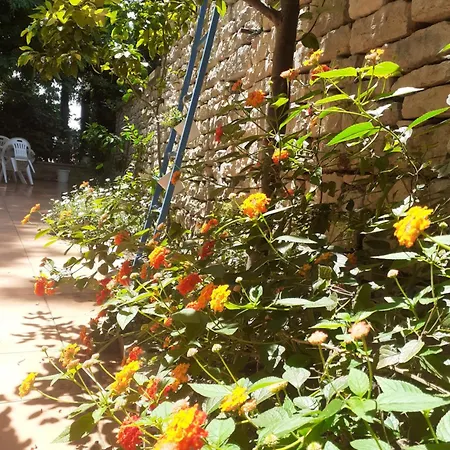 Mariza Апартаменты