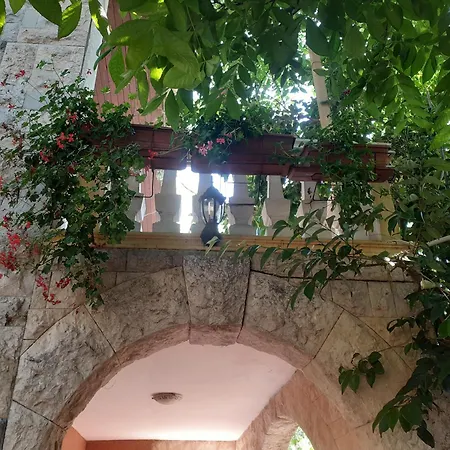 Apartment Mariza Pula