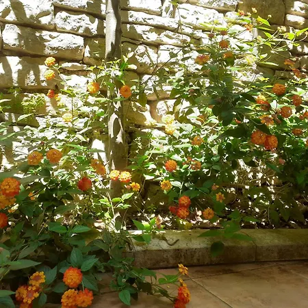 Mariza Apartamento *